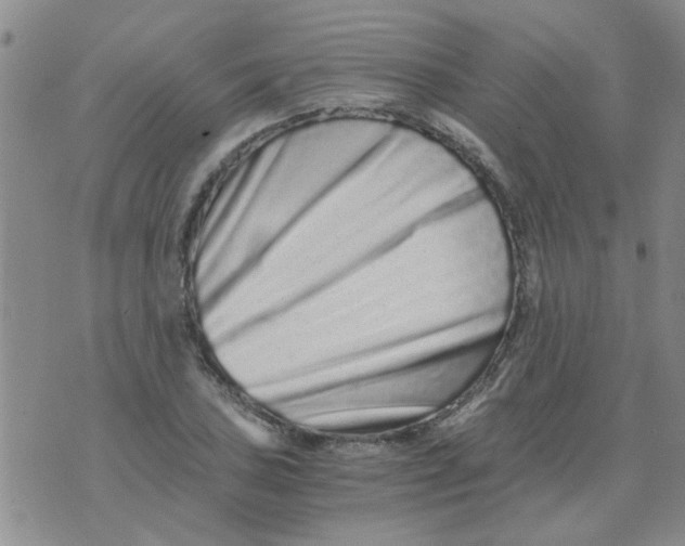 X0000076051027200610152132