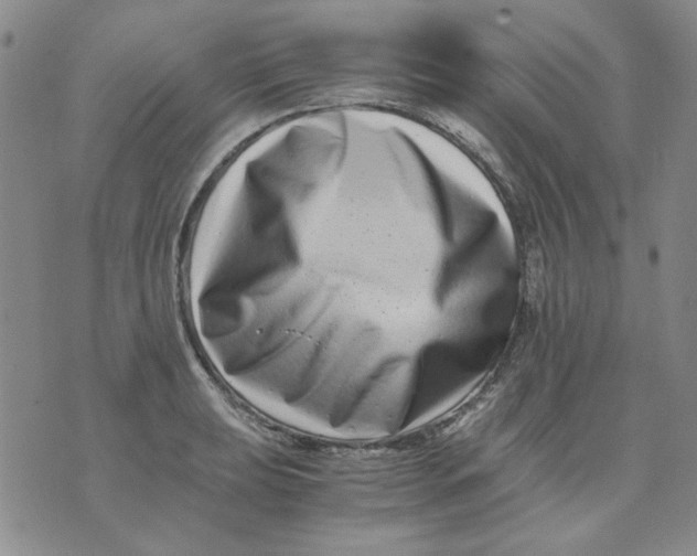 X0000076051039200610152132