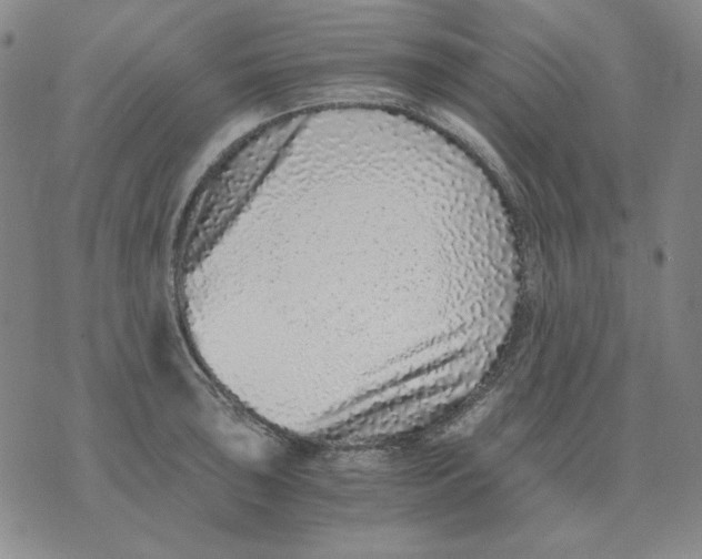 X0000076051043200610152132
