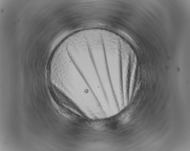X0000076051047200610152132