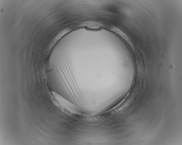 X0000076051049200610152132