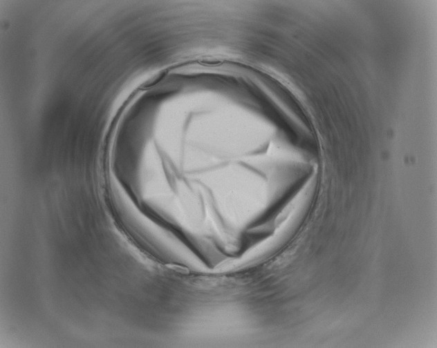 X0000076051056200610152132