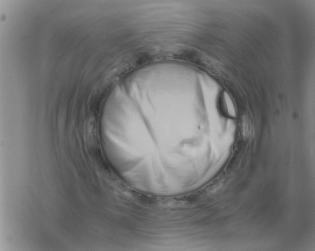 X0000076051059200610152132