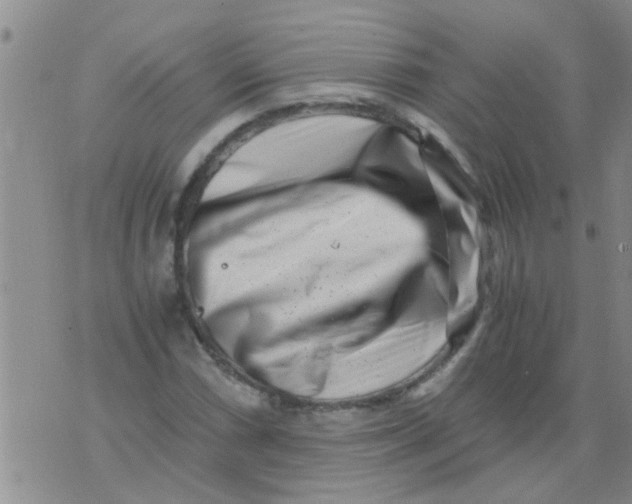 X0000076051066200610152132