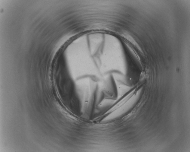 X0000076051068200610152132