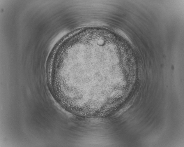 X0000076051087200610152131
