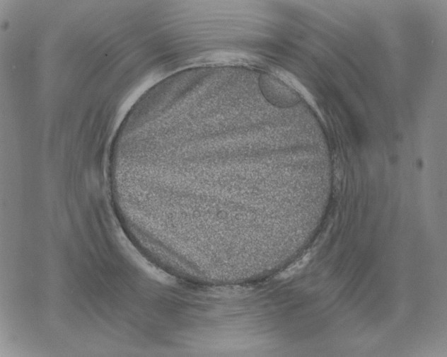 X0000076051091200610152131