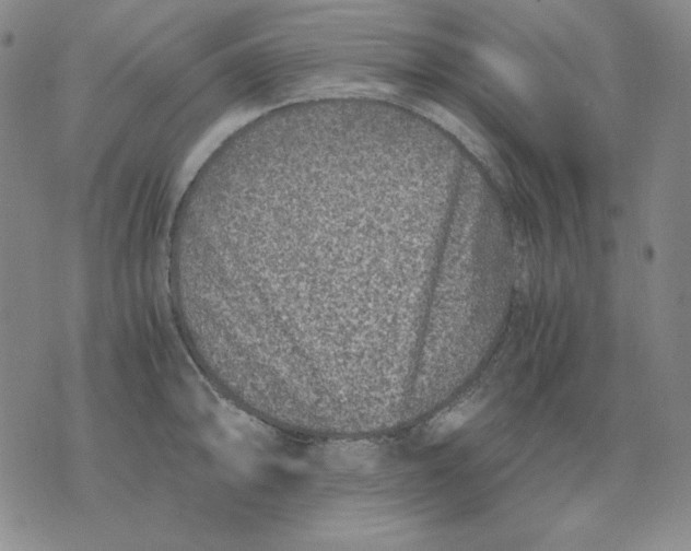 X0000076051094200610152131