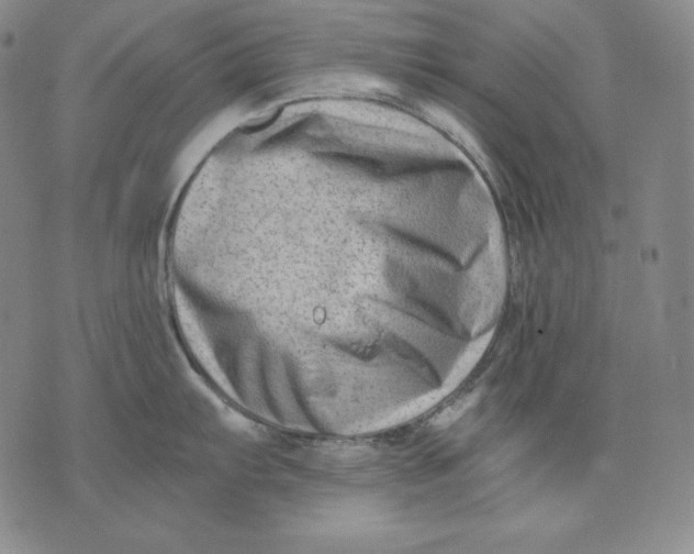 X0000076051103200610152131