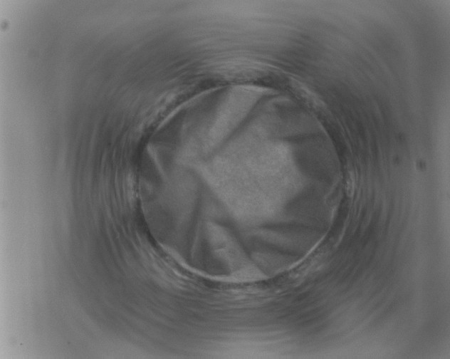 X0000076051108200610152130