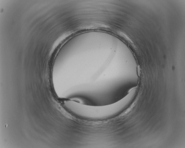 X0000076051122200610152130
