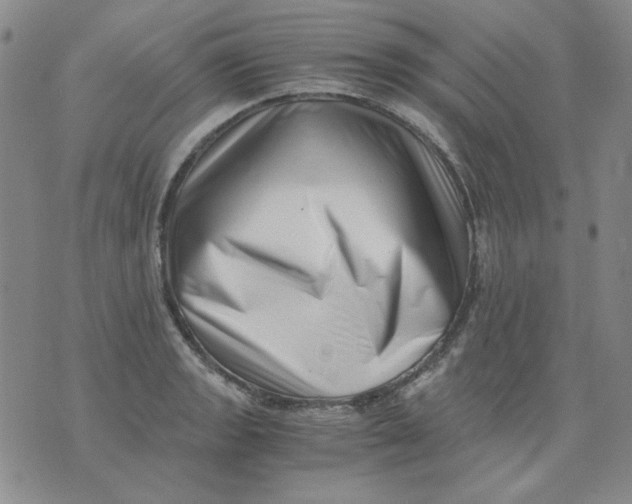 X0000076051133200610152131