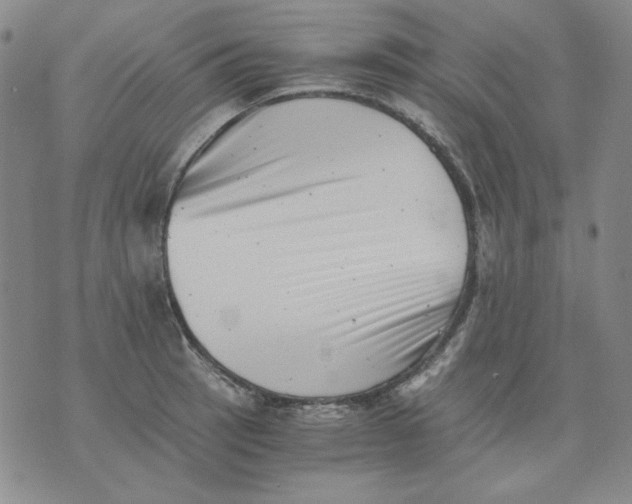 X0000076051137200610152131