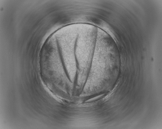 X0000076051142200610152131