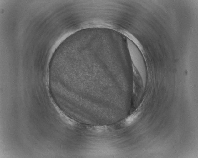 X0000076051144200610152131