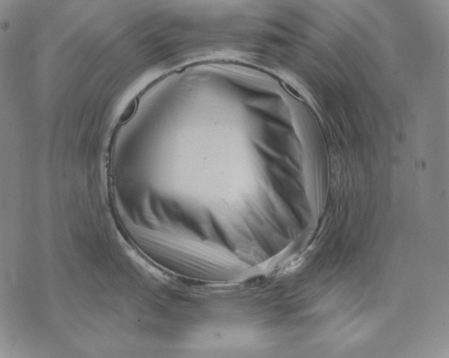 X0000076051151200610152131