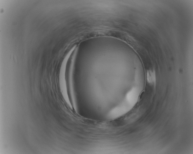 X0000076051155200610152130