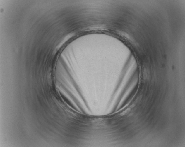 X0000076051162200610152130