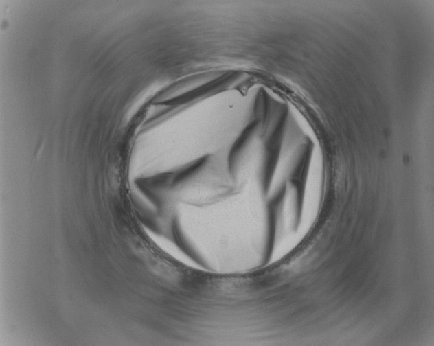 X0000076051163200610152130