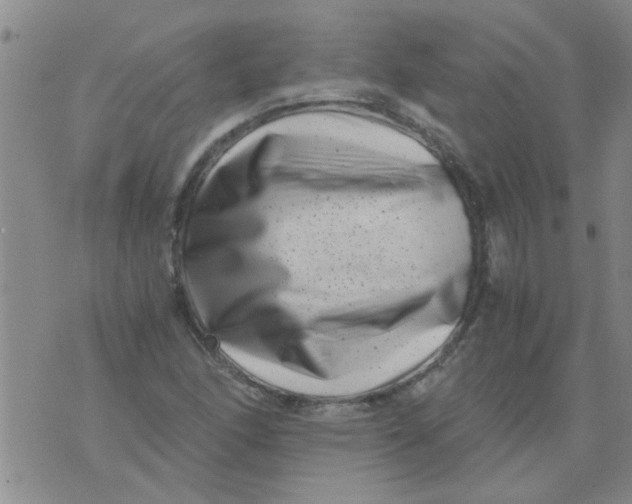X0000076051166200610152130