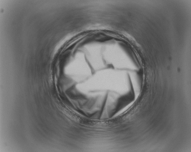 X0000076051167200610152130