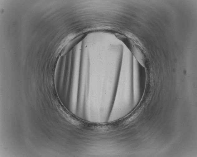 X0000076051177200610152130