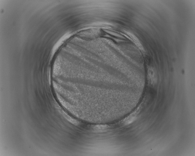 X0000076051180200610152130