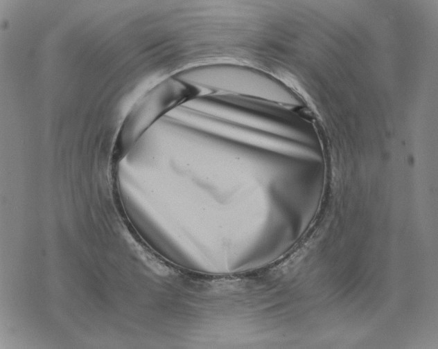 X0000076051181200610152130