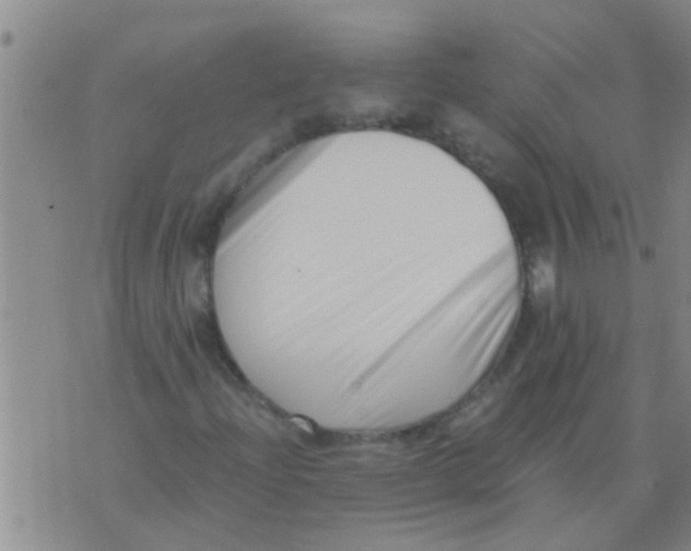 X0000076051204200610152129