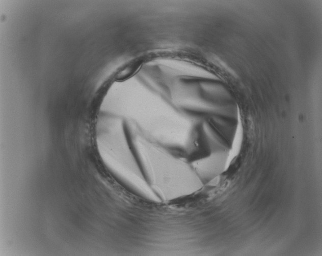 X0000076051208200610152129