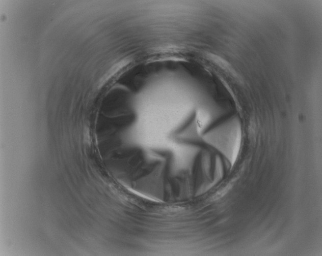 X0000076051209200610152129