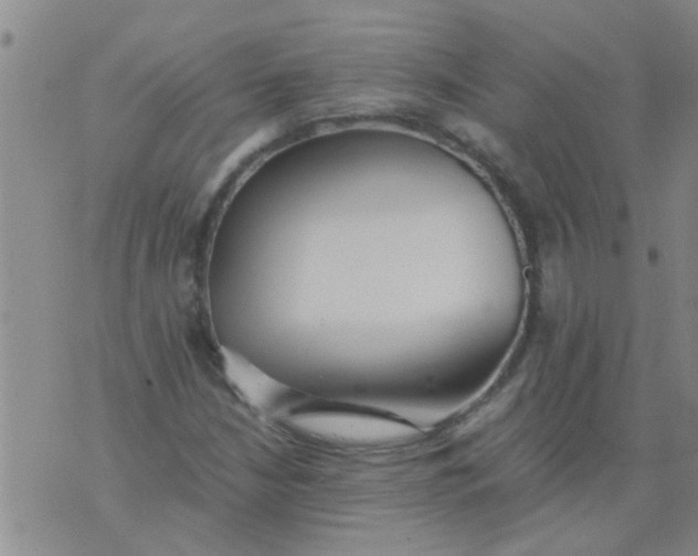 X0000076051210200610152129