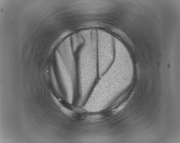 X0000076051225200610152129