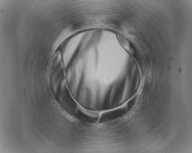 X0000076051230200610152129