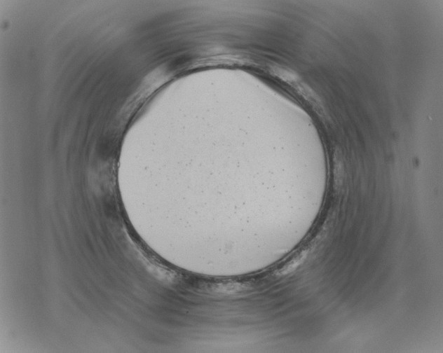 X0000076051233200610152129