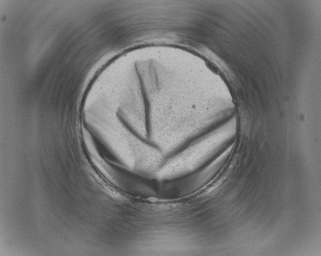 X0000076051240200610152129
