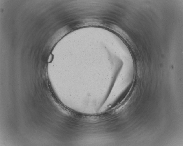 X0000076051241200610152129
