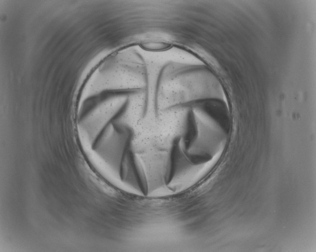 X0000076051248200610152129