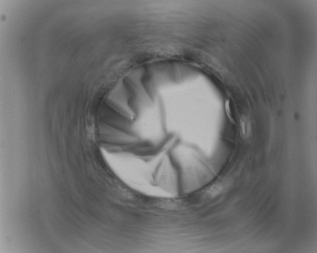 X0000076051251200610152129