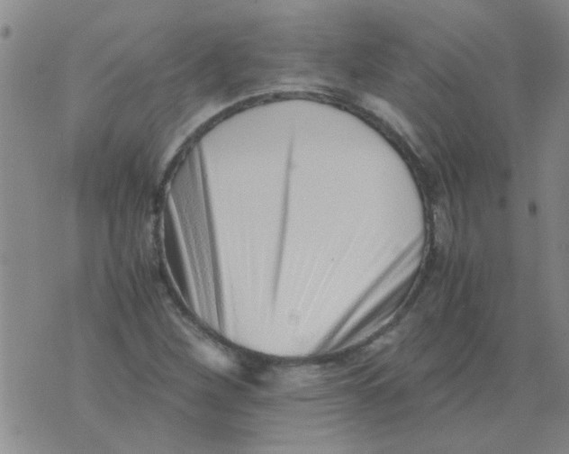 X0000076051260200610152128