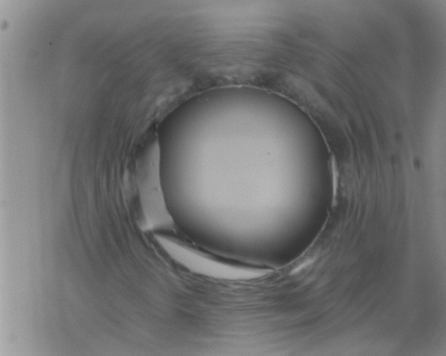 X0000076051298200610152127