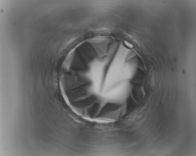 X0000076051301200610152127