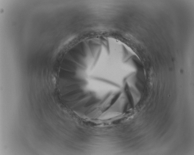 X0000076051302200610152127