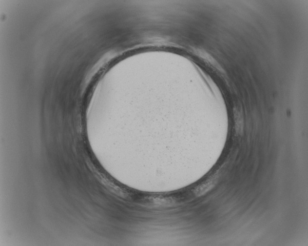 X0000076051318200610152127