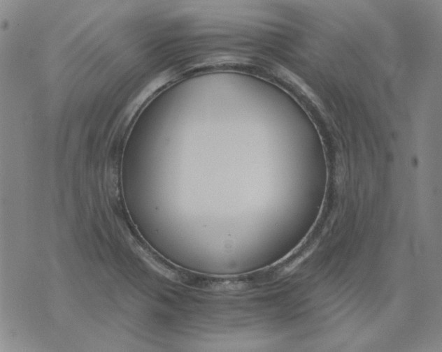 X0000076051321200610152127