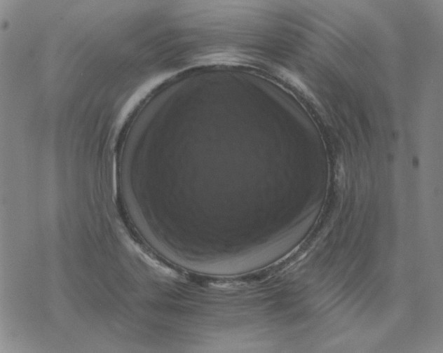 X0000076051323200610152127