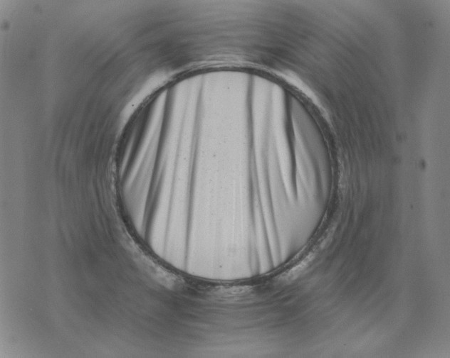 X0000076051325200610152128