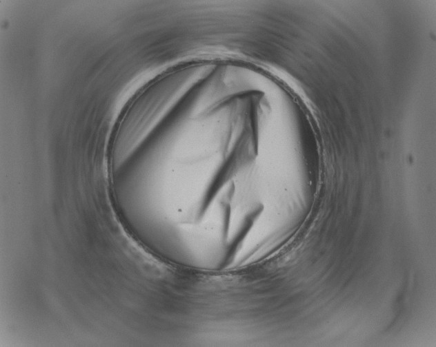 X0000076051335200610152128