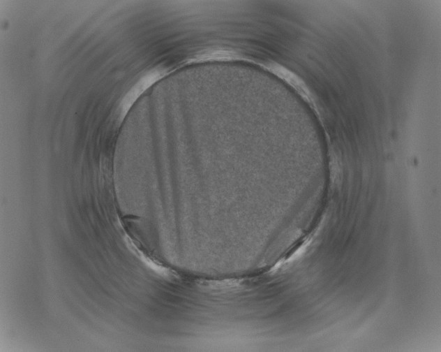 X0000076051337200610152128