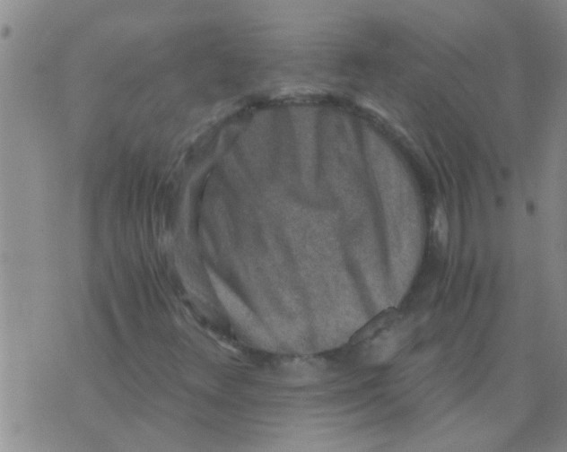 X0000076051348200610152127